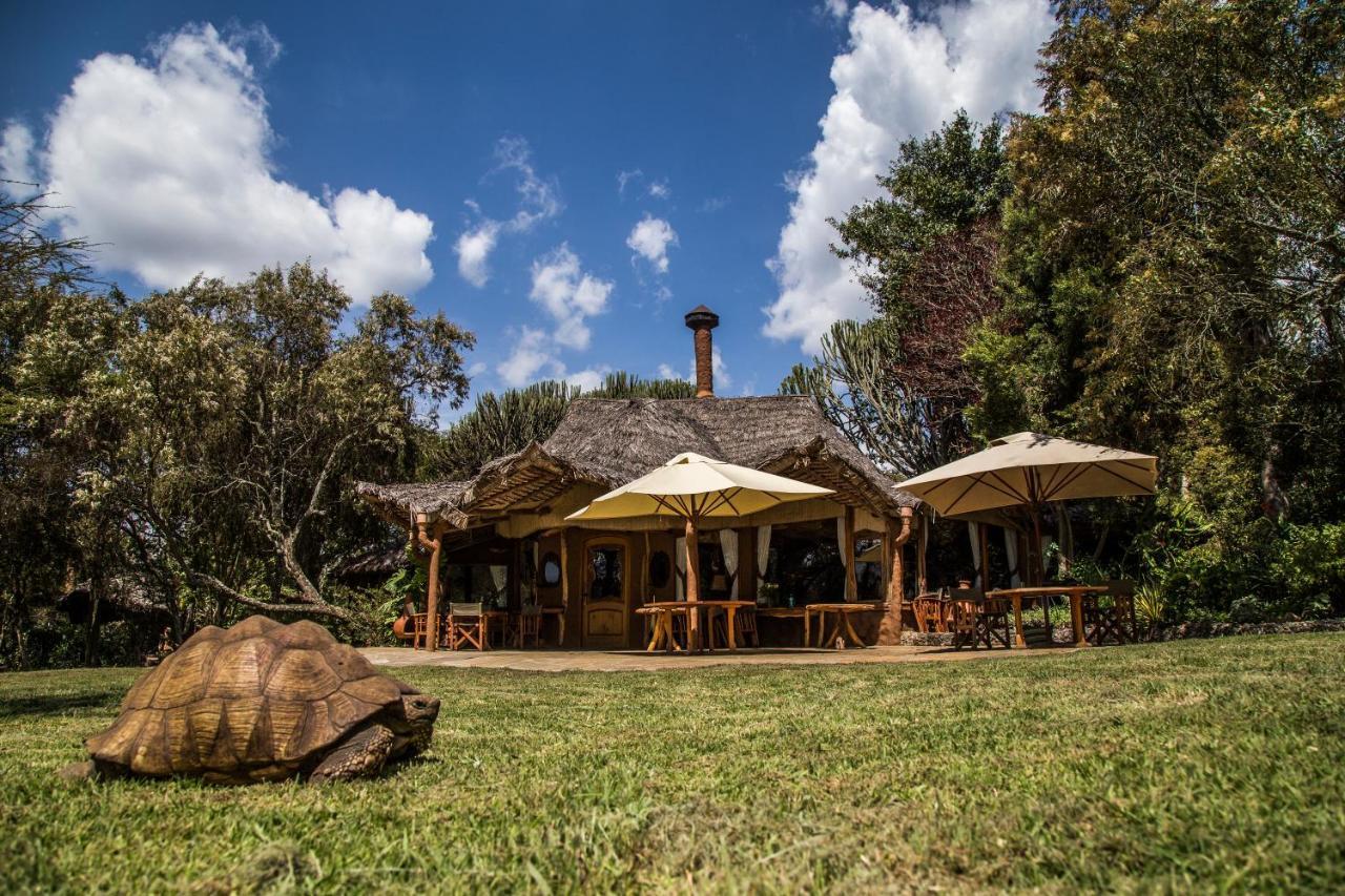 Chui Lodge Найваша Экстерьер фото